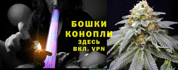 PSILOCYBIN Абдулино