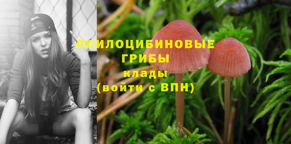 спайс Алексеевка