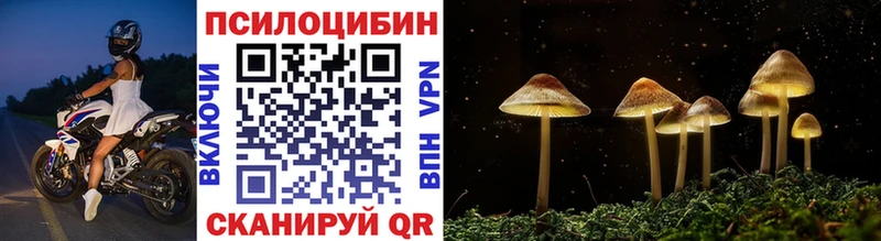 Галлюциногенные грибы мухоморы  купить закладку  Жердевка 