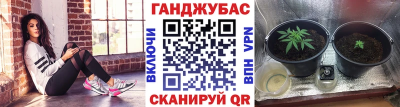 что такое Жердевка МАРИХУАНА AK-47